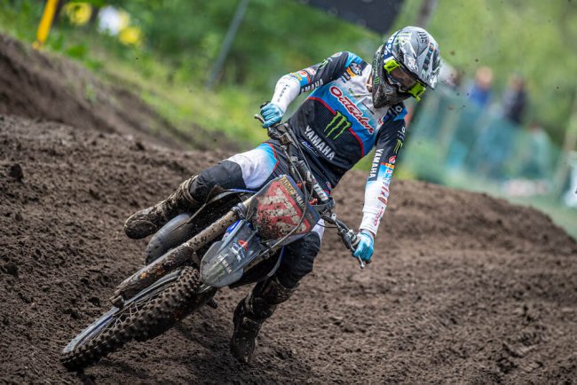 JM_Reisulis_Dutch_Masters