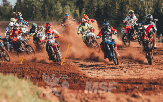 NKMX_Steicele_2023 (1)