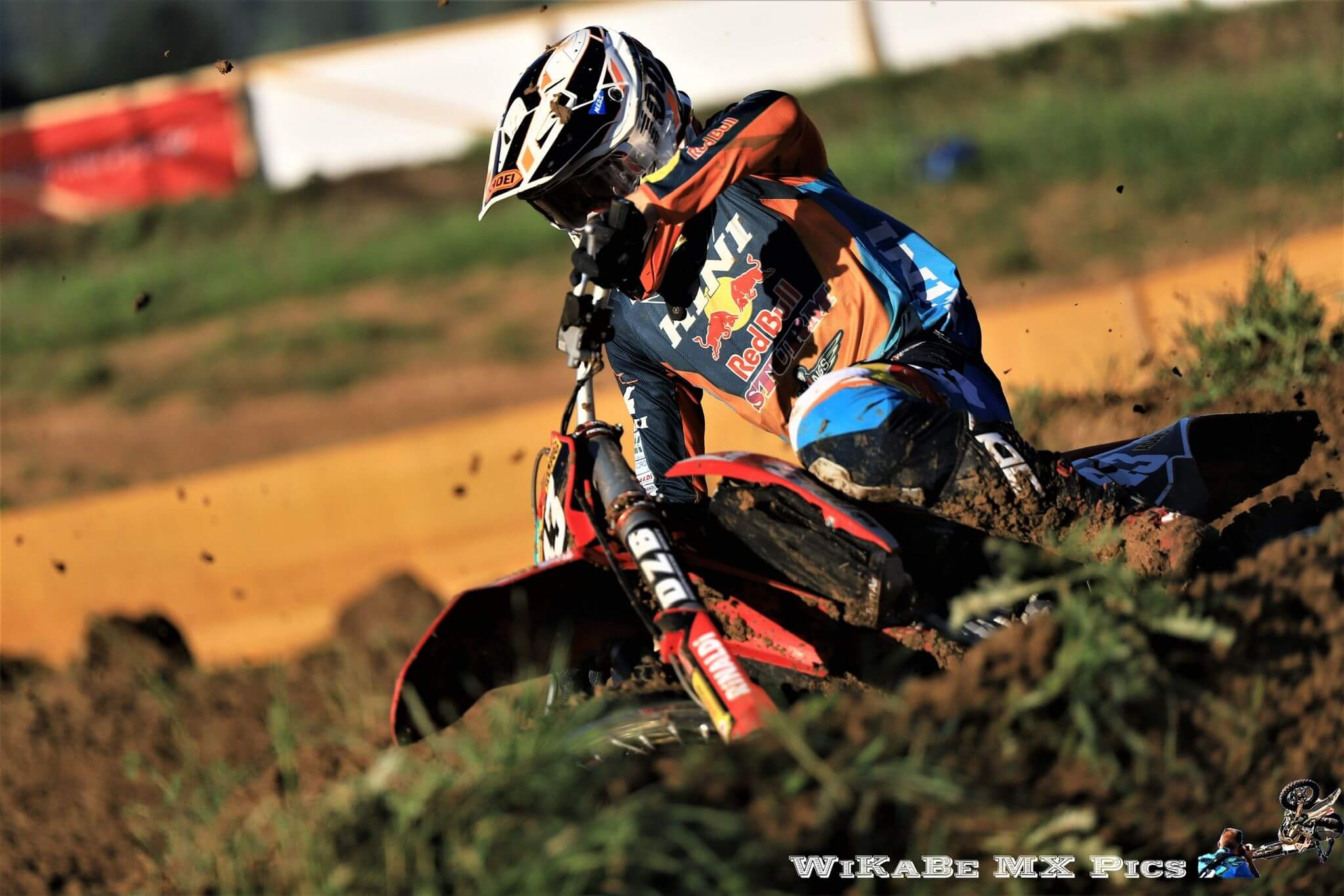 WhatsApp Image 2024-02-15 at 17.41.50 (1)