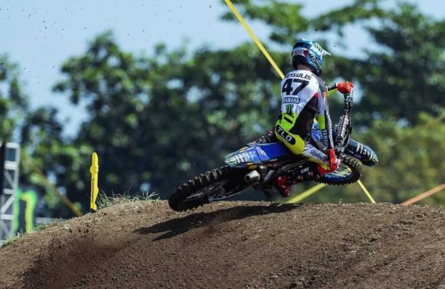 Reisulis-Indonezija3